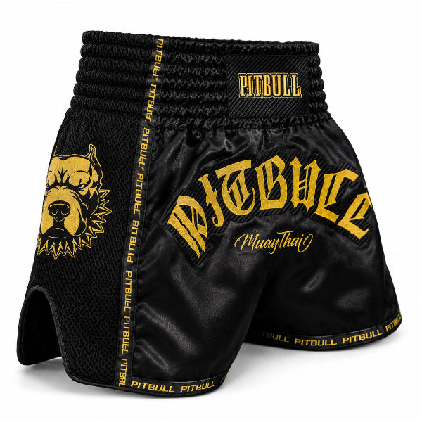 Black and gold Muay Thai shorts with 'Pitbull' branding on a white background
